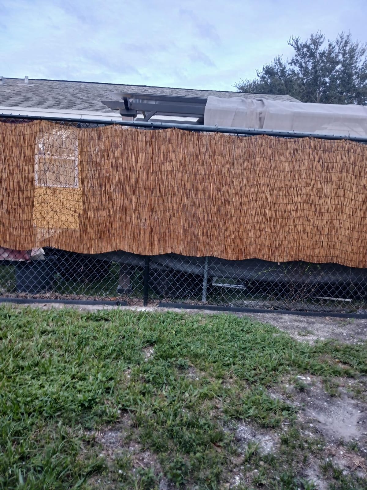 Natural Reed Fencing 6FT X 16.4FT Reed Fence 6FT High Balcony Reed Fence Privacy Reed Screen for Outdoor Backyard Patio (Brown) customer photo 2