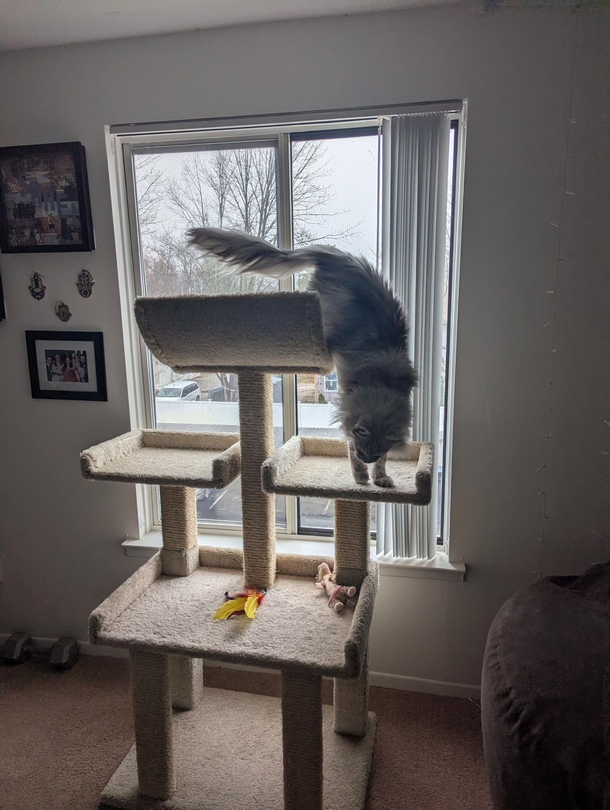 Prestige Cat Trees Extra Large Cat Tree Tower for Big Cats customer photo 2