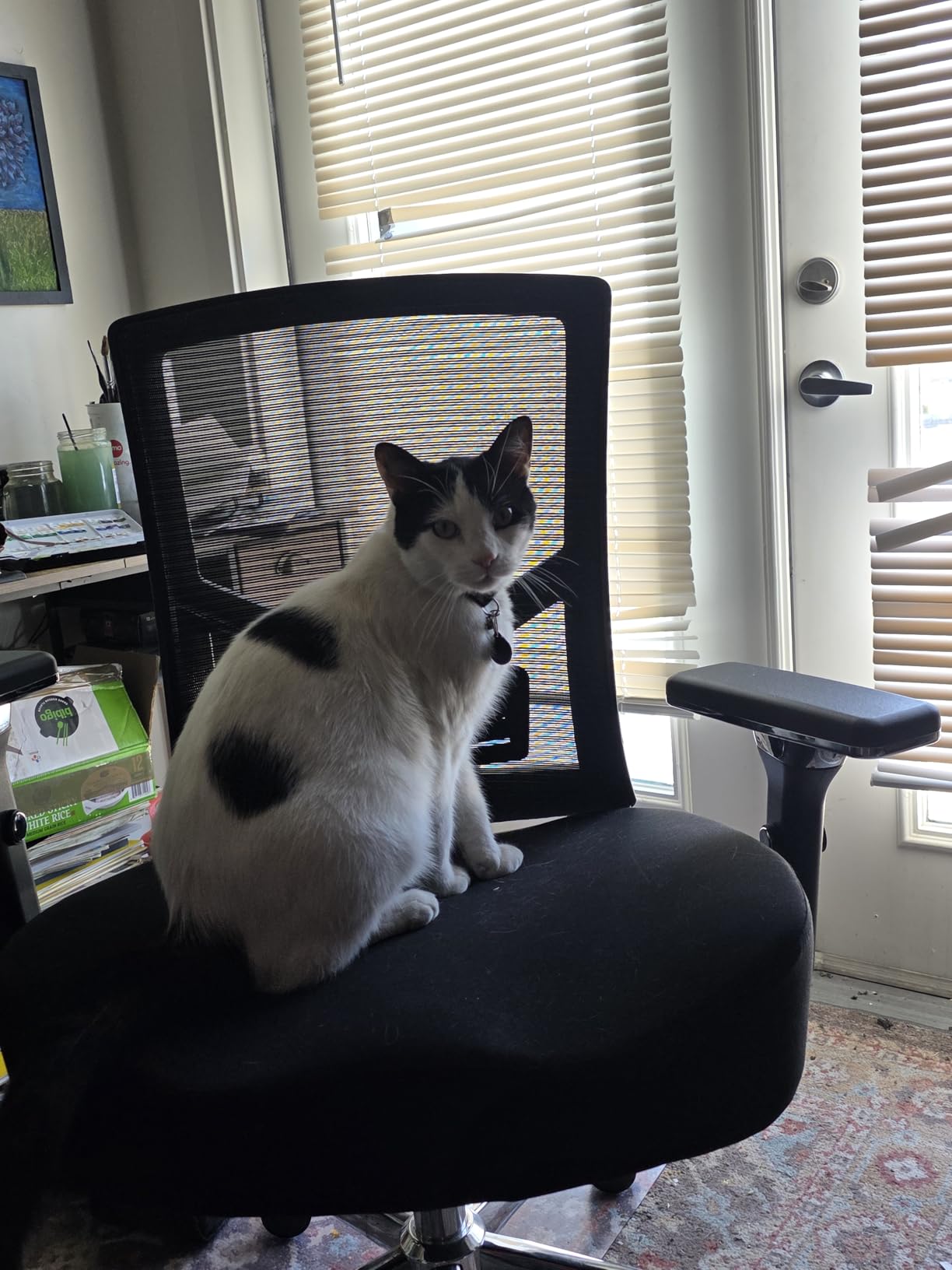 Big and Tall Office Chair 500lbs, Ergonomic Oversize Mesh Desk Chair, Heavy Duty High Back Computer Chair with Wide Thick Seat Cushion, Adjustable Lumbar Support, 4D Armrests customer photo 1