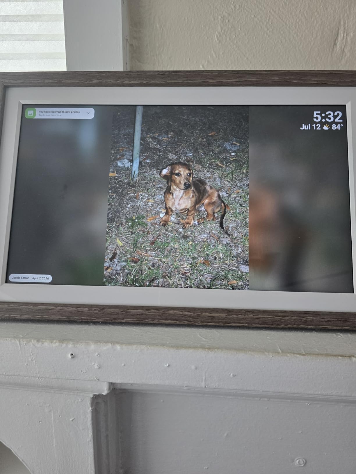 Digital Picture Frame, Frameo 15.6'' Digital Photo Frame WiFi Large Display customer photo 1