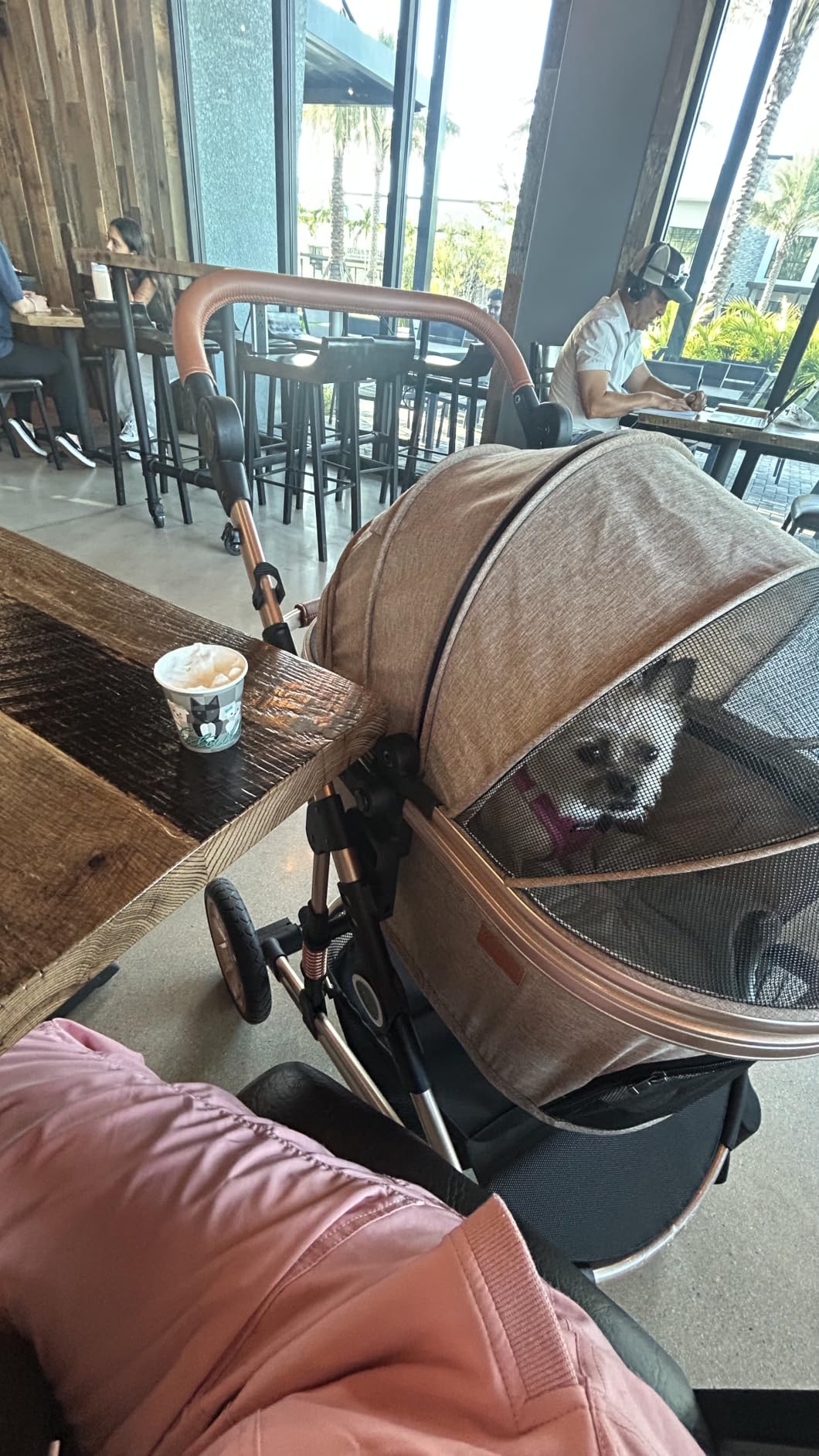 Bicystar Dog Stroller with Detachable Carrier, Rubber Wheels, 50 lbs, Grey customer photo 1