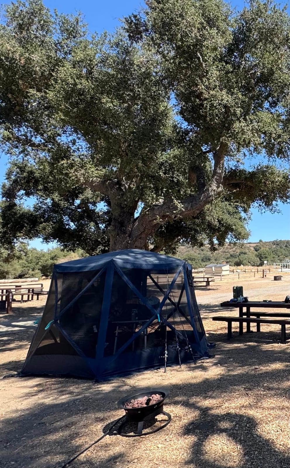 TIMBER RIDGE Easy Pop Up Gazebo Canopy Tent for Camping, 11.5 X 9.8 Ft | Portable Instant Screened House Canopy with Netting for Backyard, Patio, Outdoor, Tailgating, Picnics, Blue customer photo 2