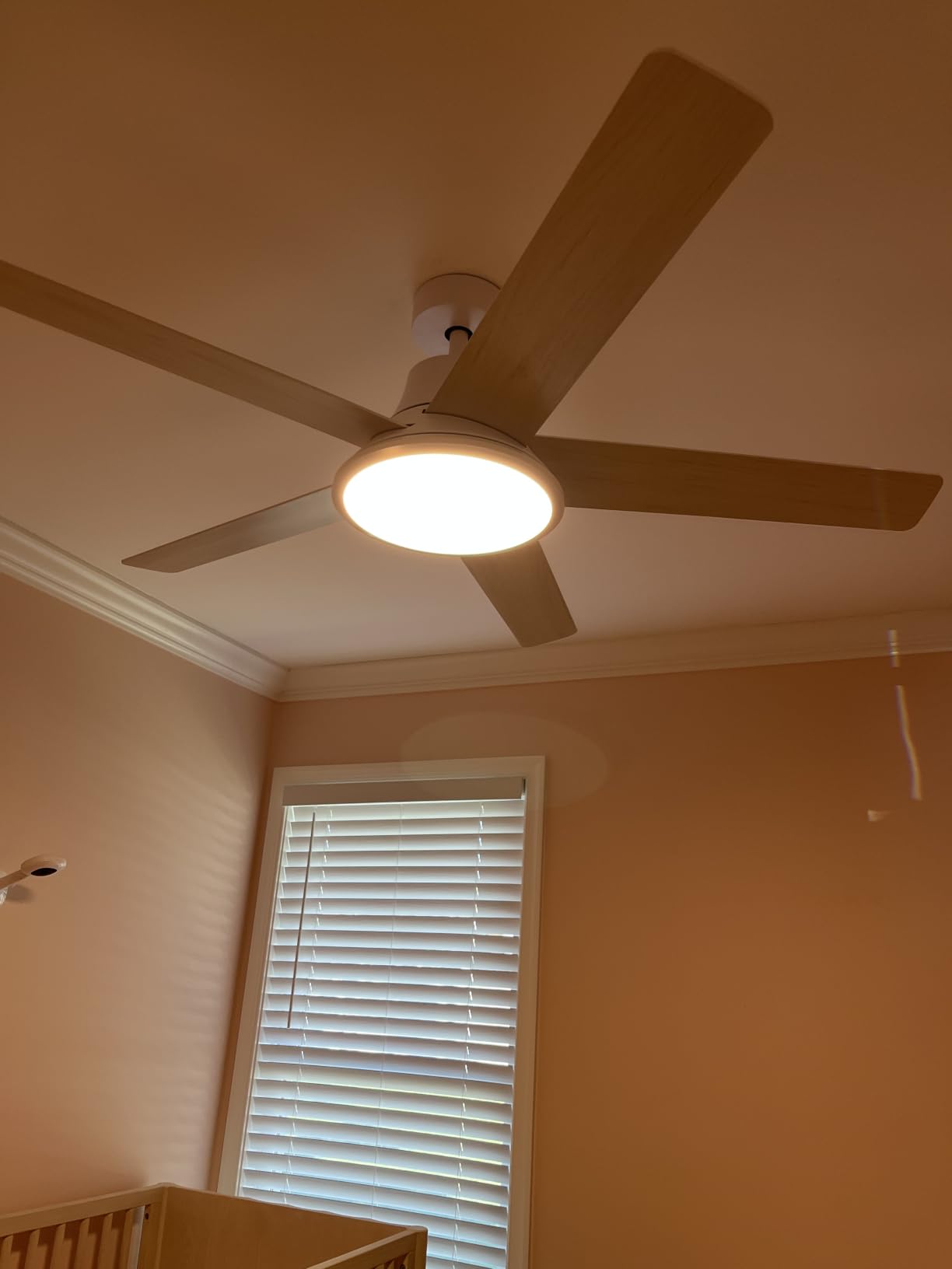 DREO Smart Ceiling Fan with Lights, 52 Inch, 12 Speeds & 3 Fan Modes, Stepless, Dimmable LED Light, Timer, 22dB Quiet DC Motor, Remote/APP/Alexa Control, Black Ceiling Fans Indoor, 2026 Upgraded customer photo 2