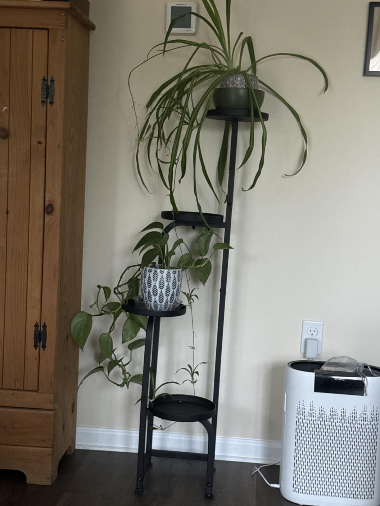 Bamworld Tall Plant Stand Indoor Outdoor, Corner Metal Flower Pot Stands for Multiple Plants, 4 Tier Heavy Duty Plant Shelf for Patio Garden Balcony Living Room Bedroom(Patent Design) customer photo 1