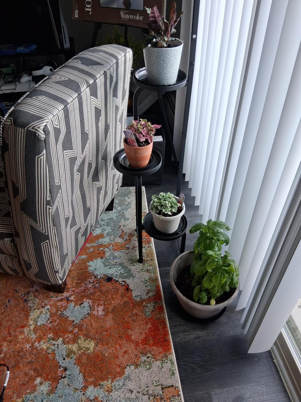Bamworld Tall Plant Stand Indoor Outdoor, Corner Metal Flower Pot Stands for Multiple Plants, 4 Tier Heavy Duty Plant Shelf for Patio Garden Balcony Living Room Bedroom(Patent Design) customer photo 2