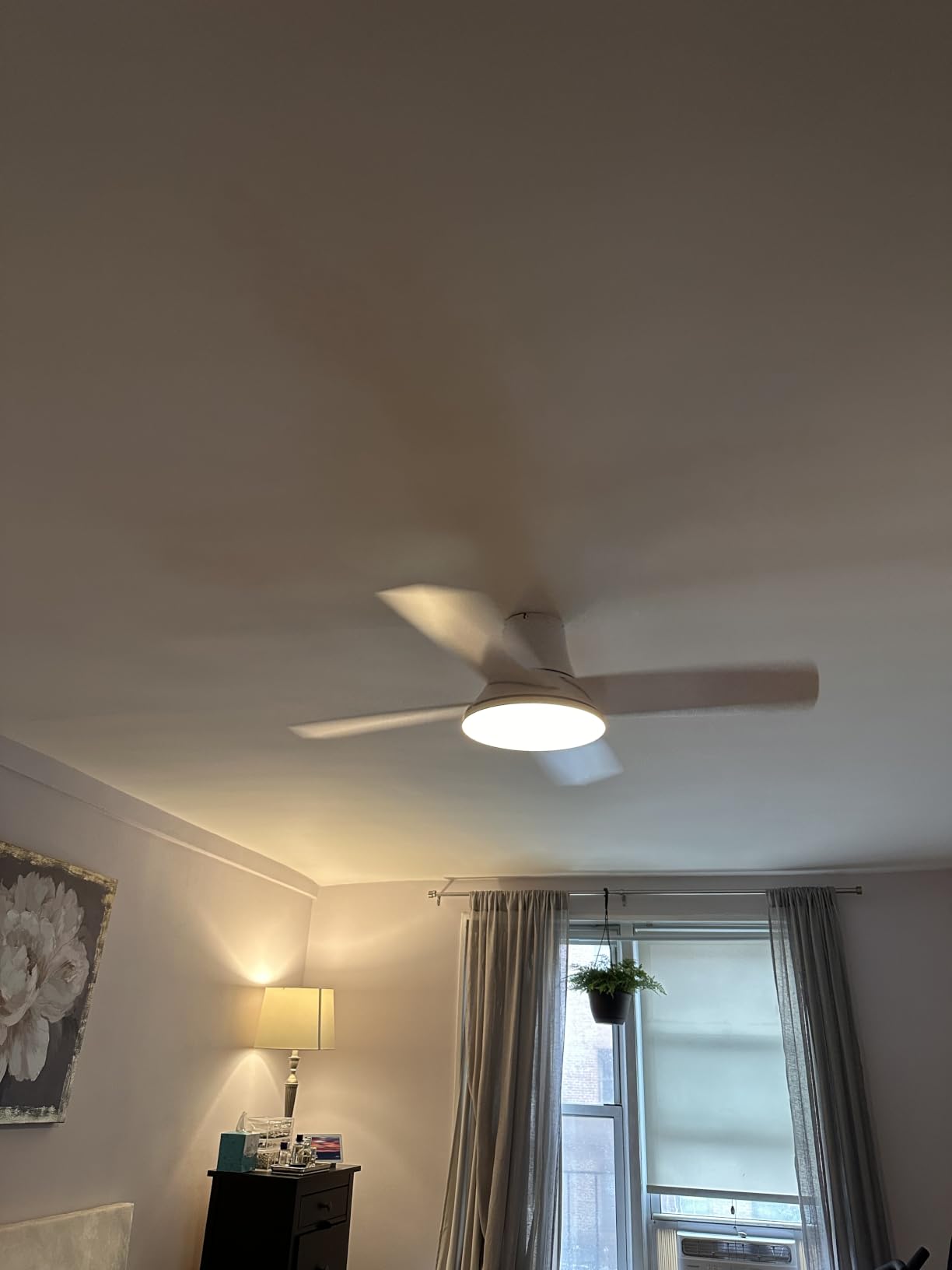 DREO Ceiling Fans with Lights 44'', RGBIC Flush Mount Smart Ceiling Fan | Quiet DC Motor for Bedroom, 12 Speeds & 3 Fan Modes, Low Profile Easy Install, Dimmable LED, 12H Timer, App and Remote Control customer photo 1