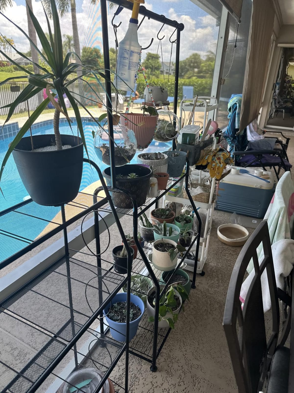 Simple Trending Plant Stand Indoor Outdoor, Metal 3 Tier Tall Hanging Plant Shelf for Multiple Flower Planter Large Heavy Duty Ladder Plant Holder for Garden, Black customer photo 2
