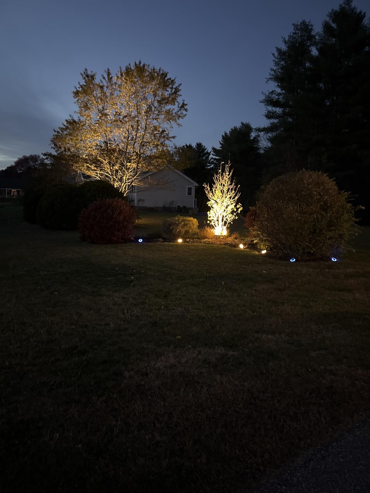 Gardencoin Outdoor Ring Tree Lights, 72W LED Landscape Uplighting for Trees, 3000K Warm White, Low Voltage IP65 Waterproof, 15.35