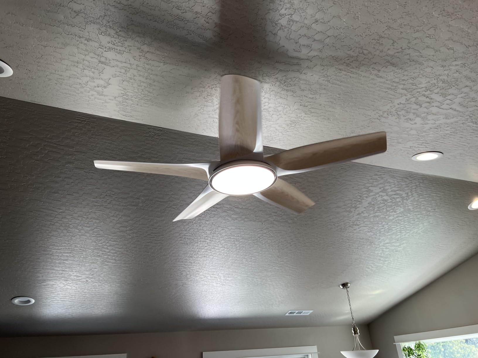 DREO Smart RGBIC Ceiling Fans with Lights, Low profile Ceiling Fan with Alexa/App, 52'' Dimmable Lighting & Color Tuning, 25dB Quiet for Living Room, Game Room, Easy Installation, Black, 2026 Upgraded customer photo 2