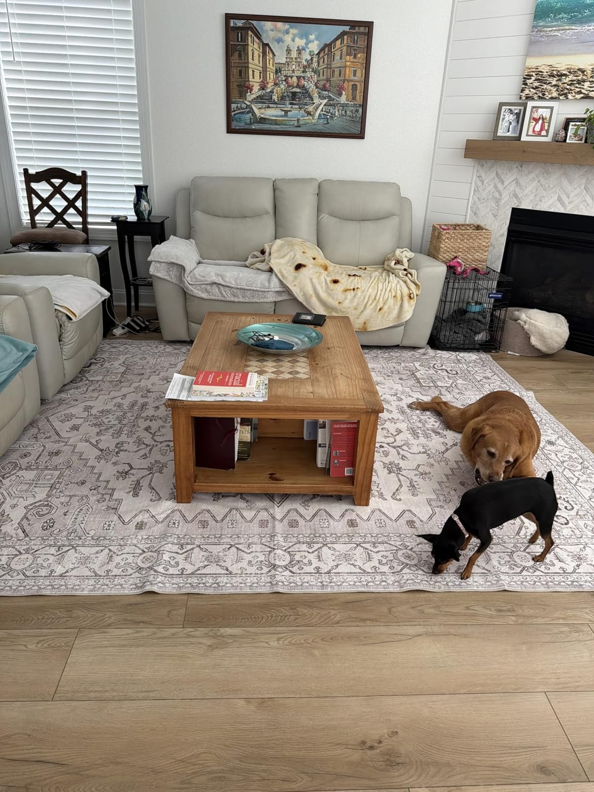 befbee Washable Area Rug 8x10, Large Neutral Beige Carpet for Living Room | Machine washable, Stain Resistant, Soft Low Pile, Non Slip Backing, Pet&Kid Friendly, Vintage Home Decor for Bedroom Nursery customer photo 2