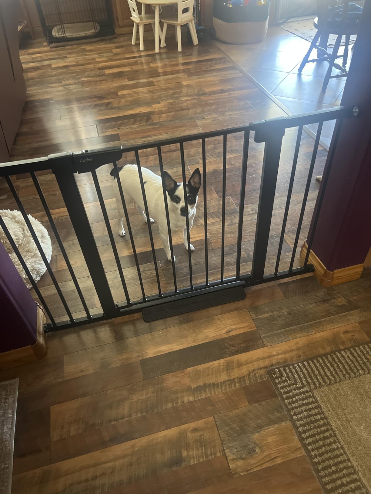 Cumbor 30-48 in Baby Gate for Stairs, Auto Close Dog Gate Indoor, Black | Mom's Choice Awards Winner, Double Lock Safety for Doorways, One-Hand Open Child Gate for Toddlers & Pets, Pressure Mounted customer photo 2