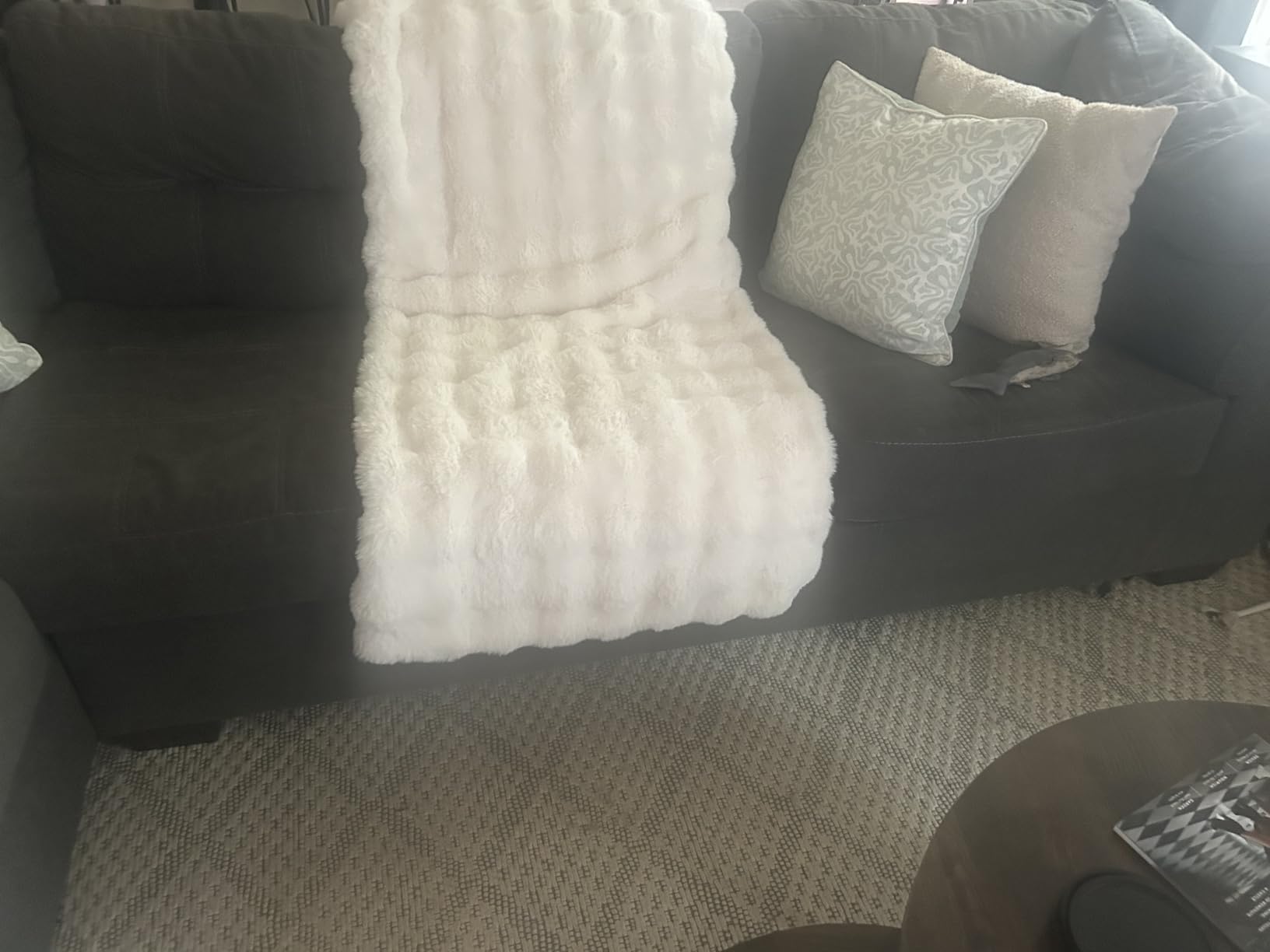 Ultra Soft Cozy Faux Fur Throw Blanket, Fuzzy Plush Thick Bubble Blanket, Luxury Fluffy Blanket for Couch, 50x60 Inches, Cream White customer photo 2