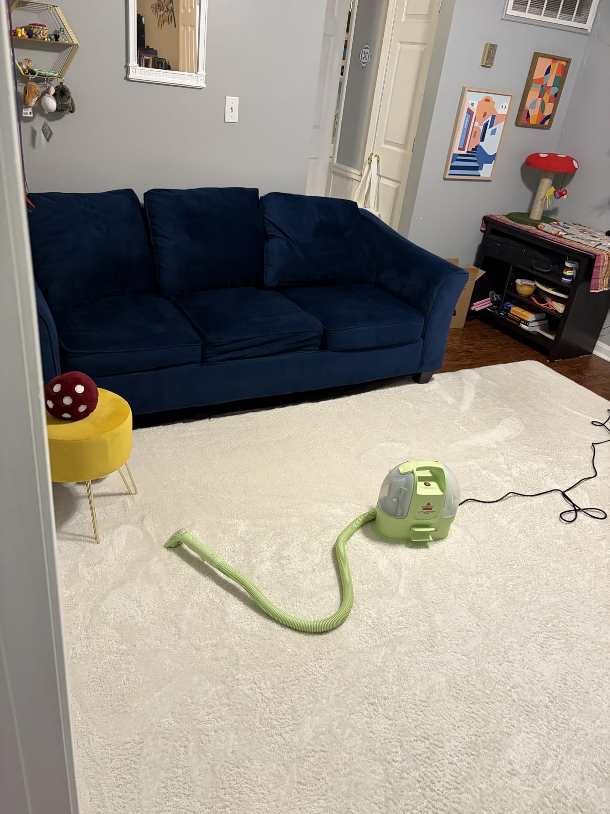 Sour Lemon Area Rugs 9x12 for Living Room Bedroom, Large Carpet Grey Rug | Washable, Non Slip, Big Soft Fluffy Plush Thick, Memory foam, Bedside Nersy Modern Area Rug for Playroom Kids Room customer photo 2
