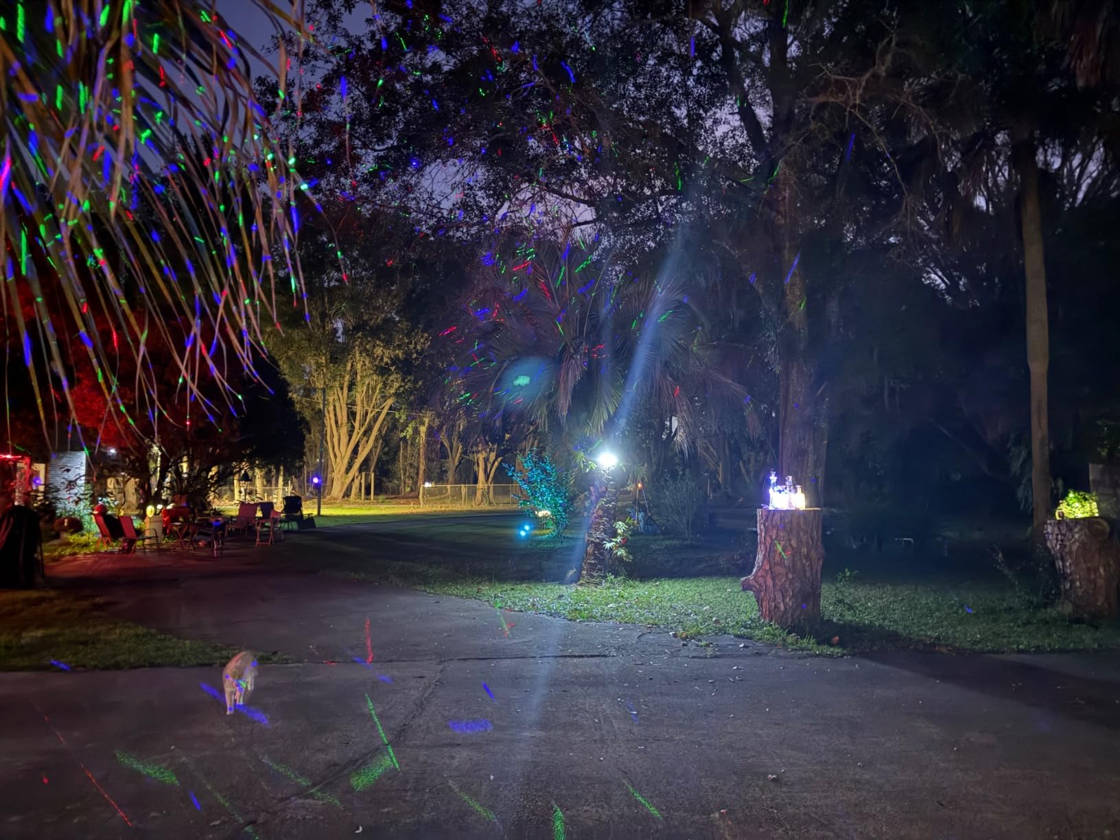 Christmas Projector Lights Outdoor, 3 Color Firefly Light Show, IP65 Waterproof Light Projector Outdoor with Remote Control and Timer, Indoor Projection Lights for House Garden Holiday Xmas Decor customer photo 1