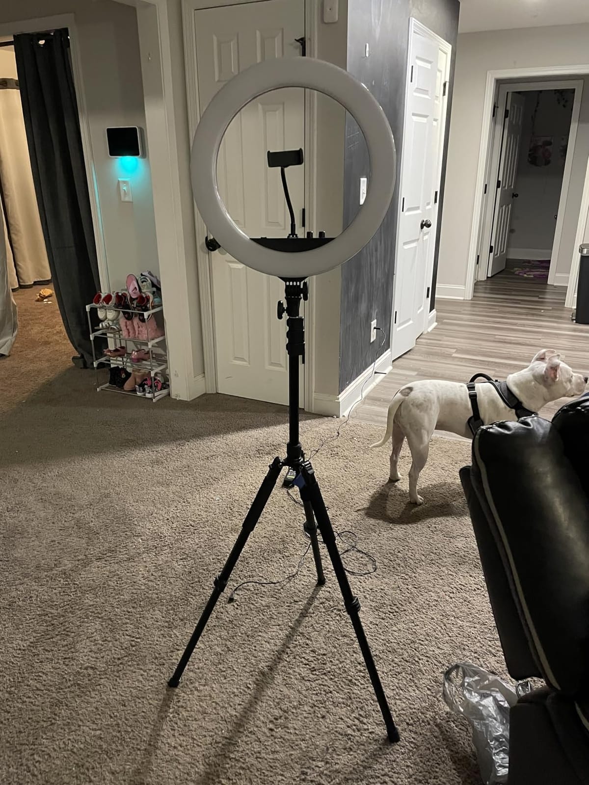 NEEWER Photography Light Stand, 1.5-6.4ft/47-195cm Aluminum Reversible Studio Lighting Tripod, Portable Phone Video Stand w/ 1/4