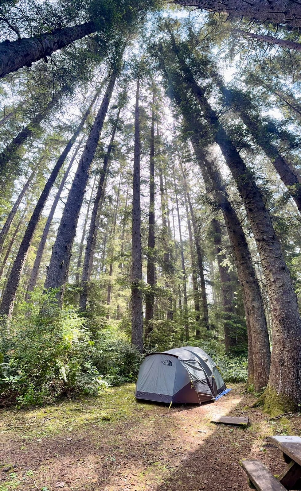 The North Face Wawona 6 Tent | Six-Person Camping Tent, Water Repellent, Spacious & Easy to Set Up, Attached Vestibule Area customer photo 1