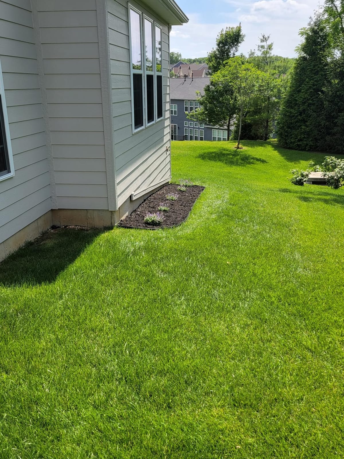 2-Inch x 100 FT Landscape Edging Border with 150 Stakes, Plastic Edging for Landscaping Garden Edging Border, Flexible Landscaping Edging for Garden Flower Beds Yard Lawn Pathway Paver (Black) customer photo 1
