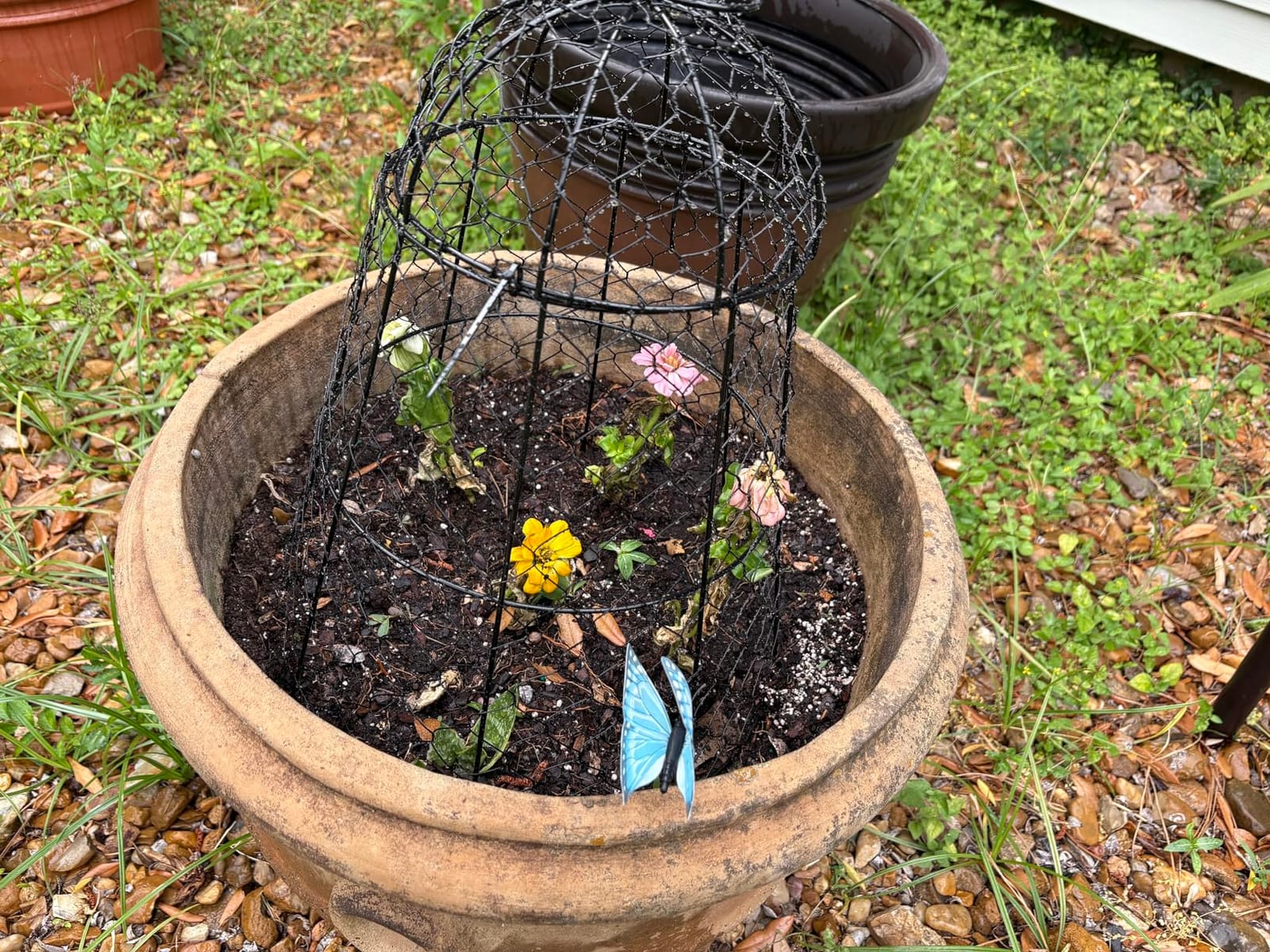 6 Pcs Garden Cloches for Plants, Metal Extra Large Chicken Wire Cloche Plant Covers, Garden Netting Plant Protectors from Animals to Keep Squirrel, Rabbit, Chicken and Bird Out 17