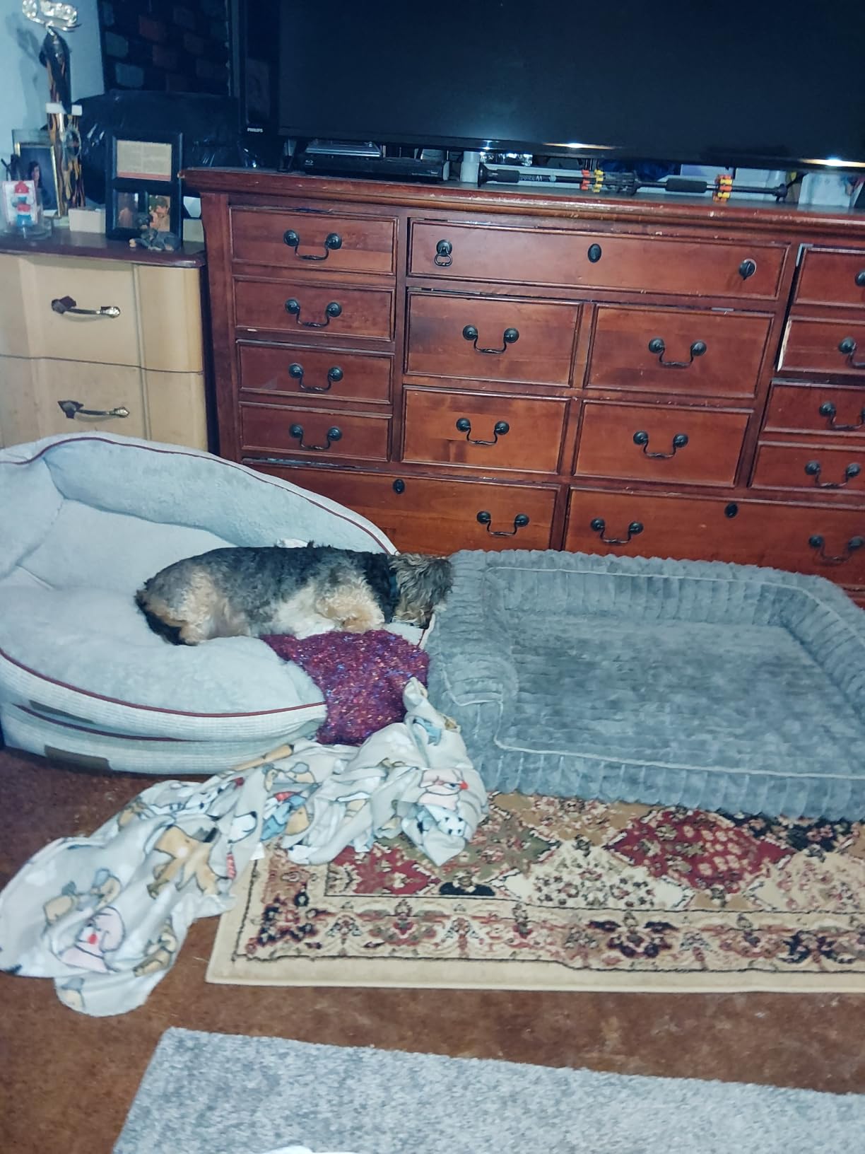 Bedsure ComfyFleece® Memory Foam Orthopedic Dog Beds Large Sized Dog 35