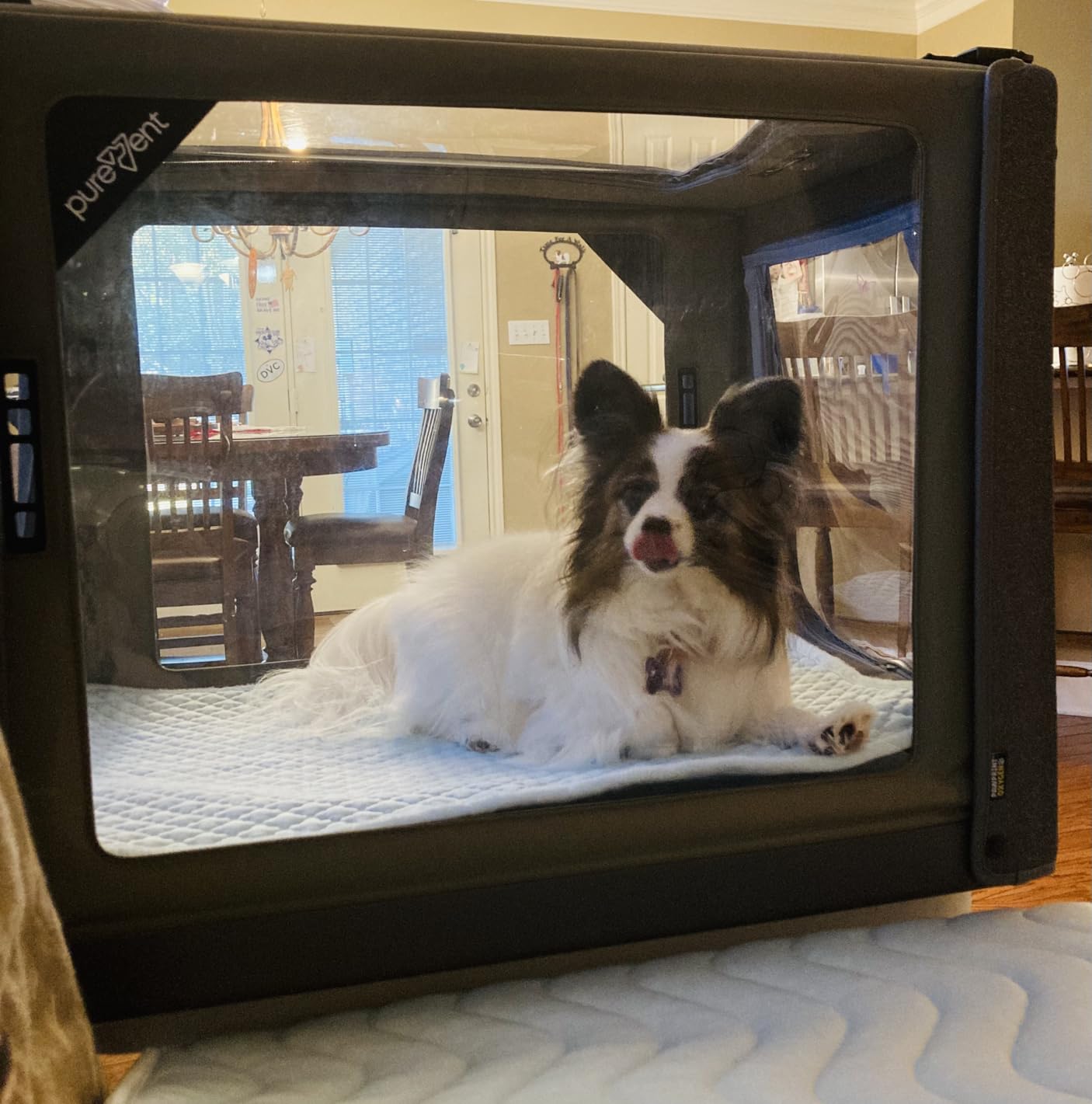 PureVent Pet Oxygen Chamber - Safe Veterinary-Grade Oxygen Therapy Cage for Dogs, Cats, Birds and Animals - Built-in Ventilation for Pets up to 30lbs customer photo 1