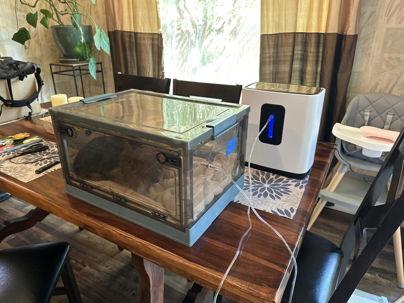 Pet Atomization Nest, Dedicated Folding Oxygen Tent, ICU Cage Cough Breathing Medical Box, Large PET Brooder Nursery for Cough Breathing Treatment Nebulization Box (Blue, Medium) customer photo 2