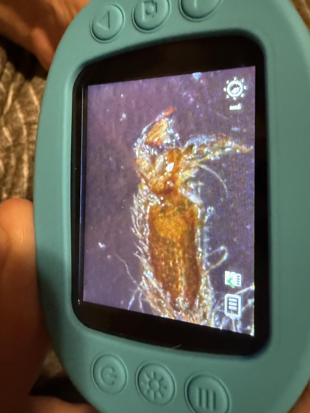 Odatay 4K 1000X Digital Microscope for Kids with 32G Card, Long Distance Viewing & 2.4