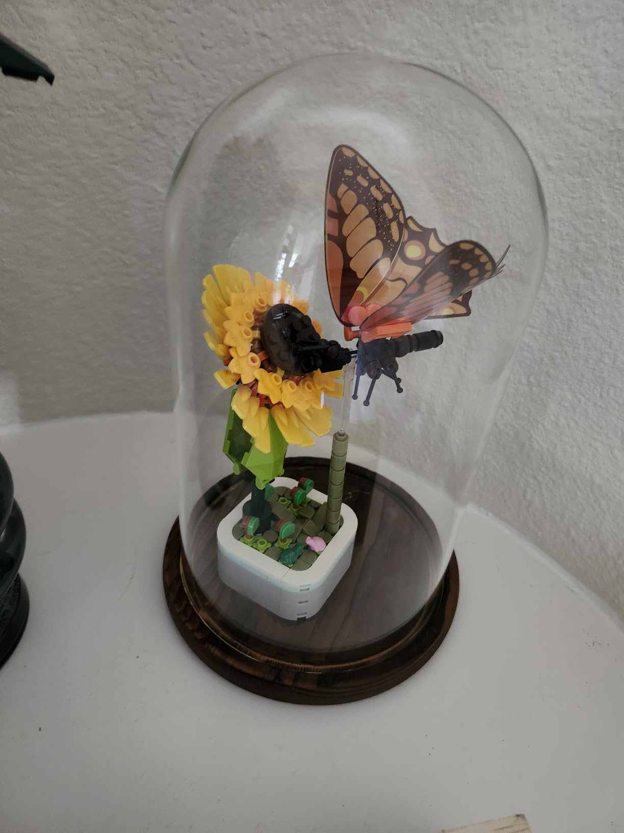 Glass Cloche Bell Jar with Wooden Base, 6 inch Diameter x 10 inch Height | Old Wood Color Base, Display Dome Cover for Plants and Decor customer photo 2