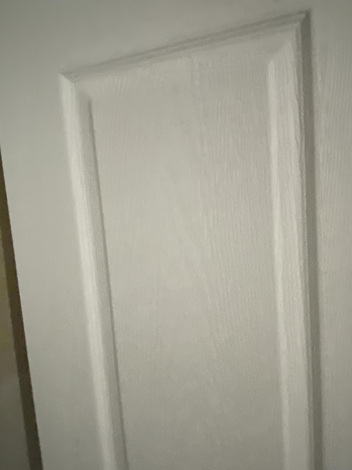 BARNSMITH 60x80 in Raised Textured 6-Panel Bypass Hollow core White Primed Sliding Closet Door with Track Hardware Kits, 2 Round Satin Nickel Flush Pull and White Primed Track Fascia customer photo 2