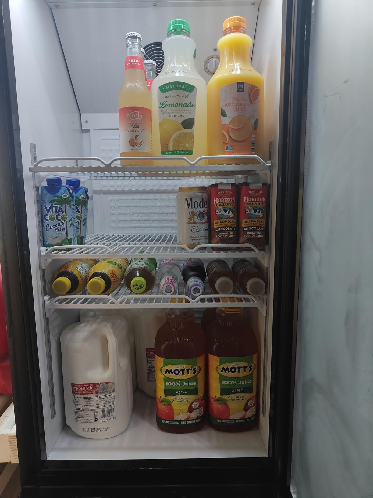 20.8''W Commercial Refrigerators, 11 Cu.ft. Glass Door Beverage Refrigerators Commercial Fridge Upright Display Cooler with Soft LED Light and Adjustable Shelves for Restaurant Grocery Stores customer photo 2