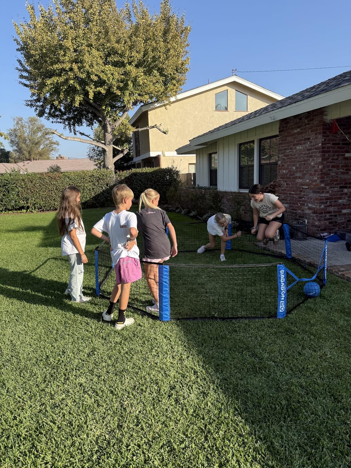 GoSports Home Gaga Ball Pit - 10 ft Portable Gagagon Go - Gaga Court for Kids, Giant Outdoor or Indoor Gaga Pit for Backyard customer photo 1