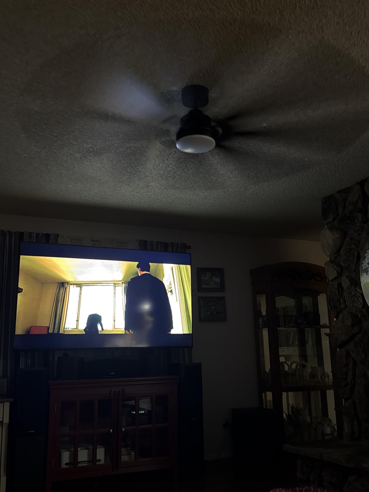 Fanbulous 72 Inch Ceiling Fans with Lights DC Motor, Remote & APP Control customer photo 1