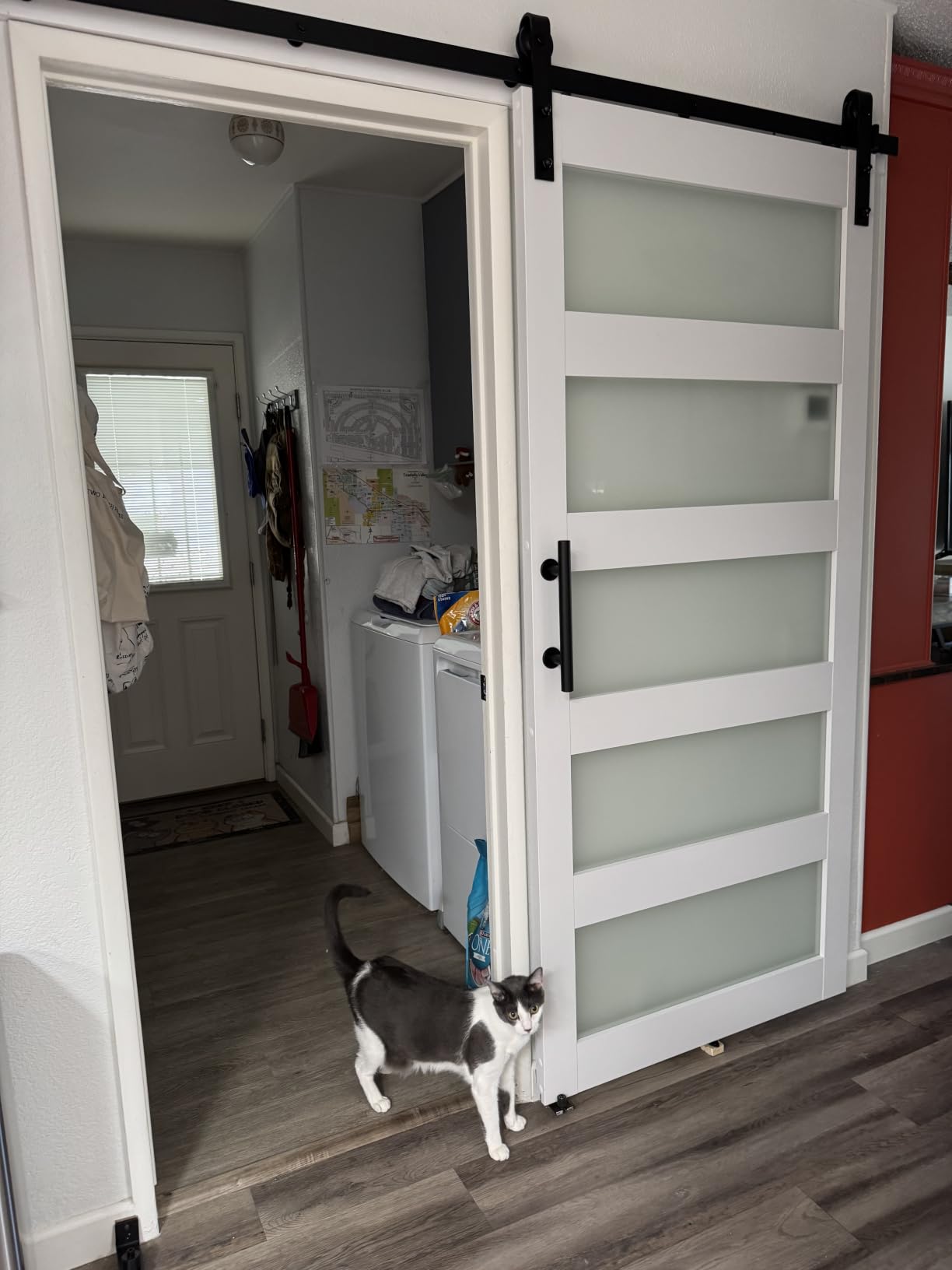 36in x 84in Sliding Glass Barn Door with 6.6ft Hardware Kit Included - DIY Assembly - Frosted Glass Door with Water-Proof PVC Surface - Fit Max Opening 34in x 82in, White customer photo 1