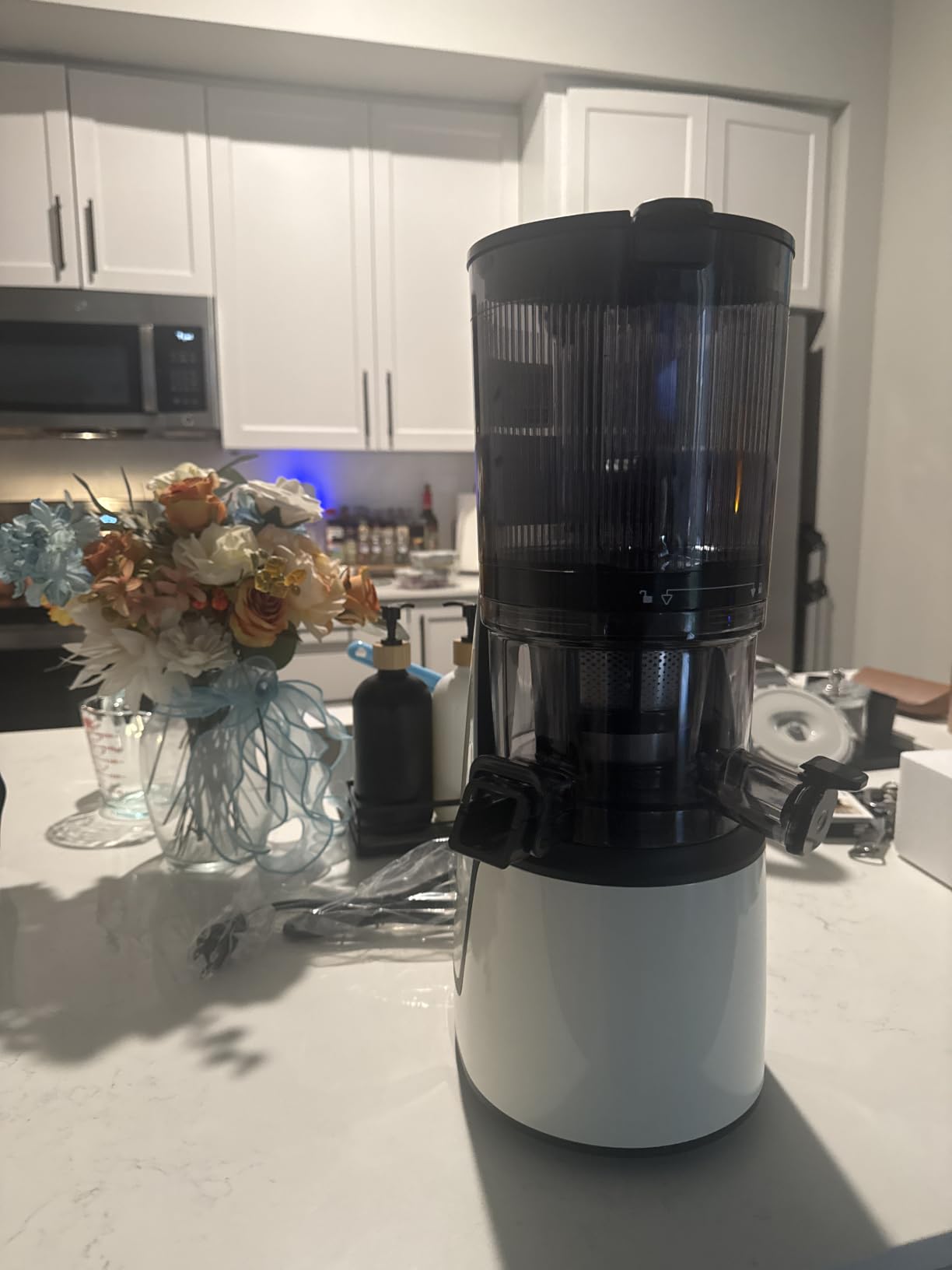 EanOruus Juicer Machines, 3-in-1 Cold Press Juicer, Premium Gray customer photo 2
