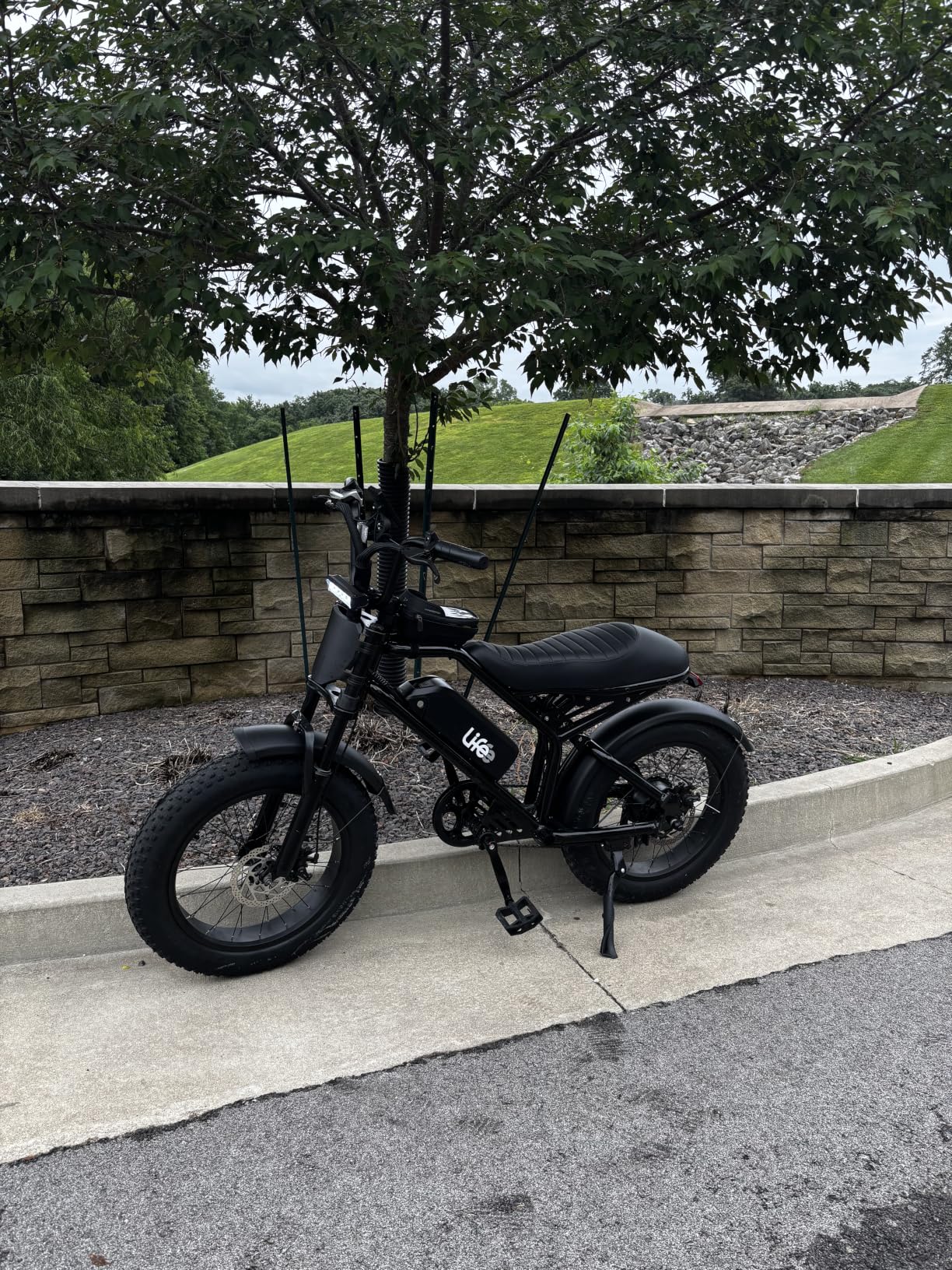 Qlife Electric Bike for Adults/Teens Spark-1800W Peak Motor 20
