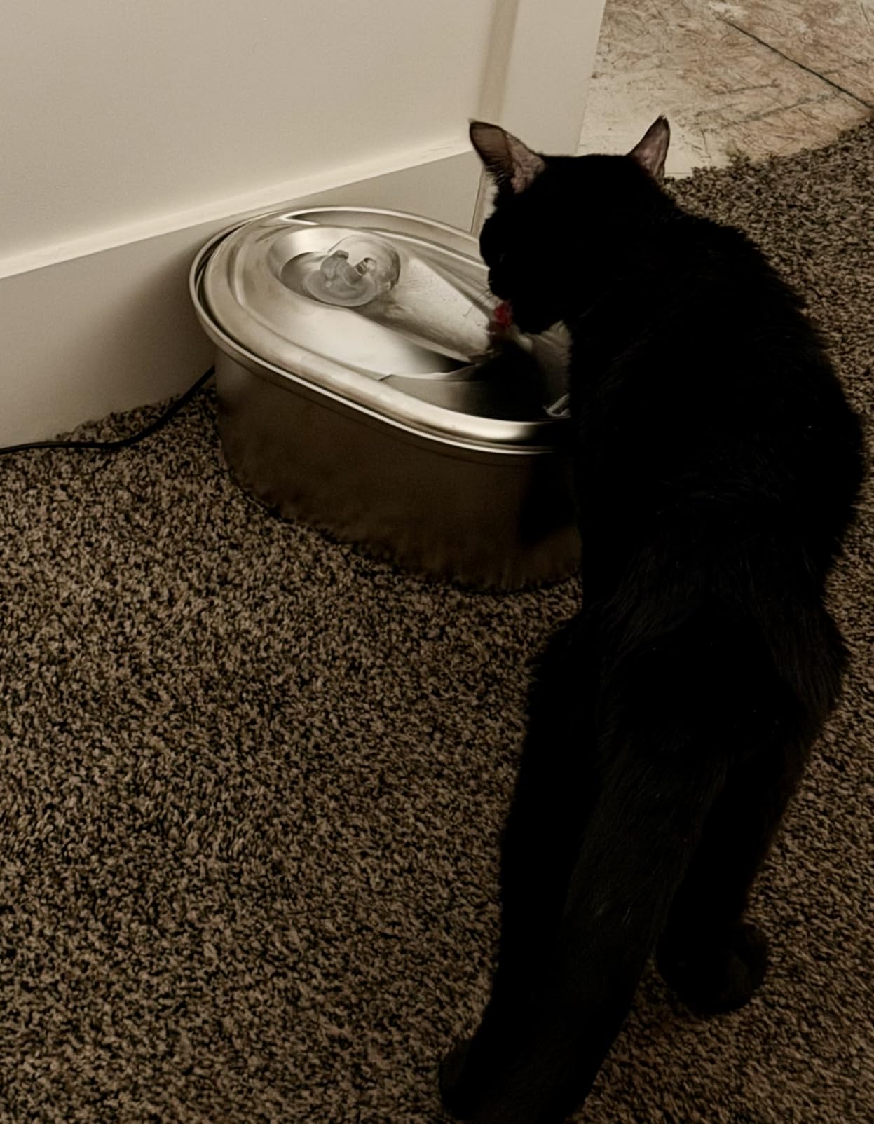 PETLIBRO Stainless Steel Cat Water Fountain, 101oz/3L Automatic Water Dispenser for Cats Indoor, Quiet Pet Water Dispenser with 2 Filters, Adjustable Flow Cat Fountain Also for Small Dogs customer photo 2