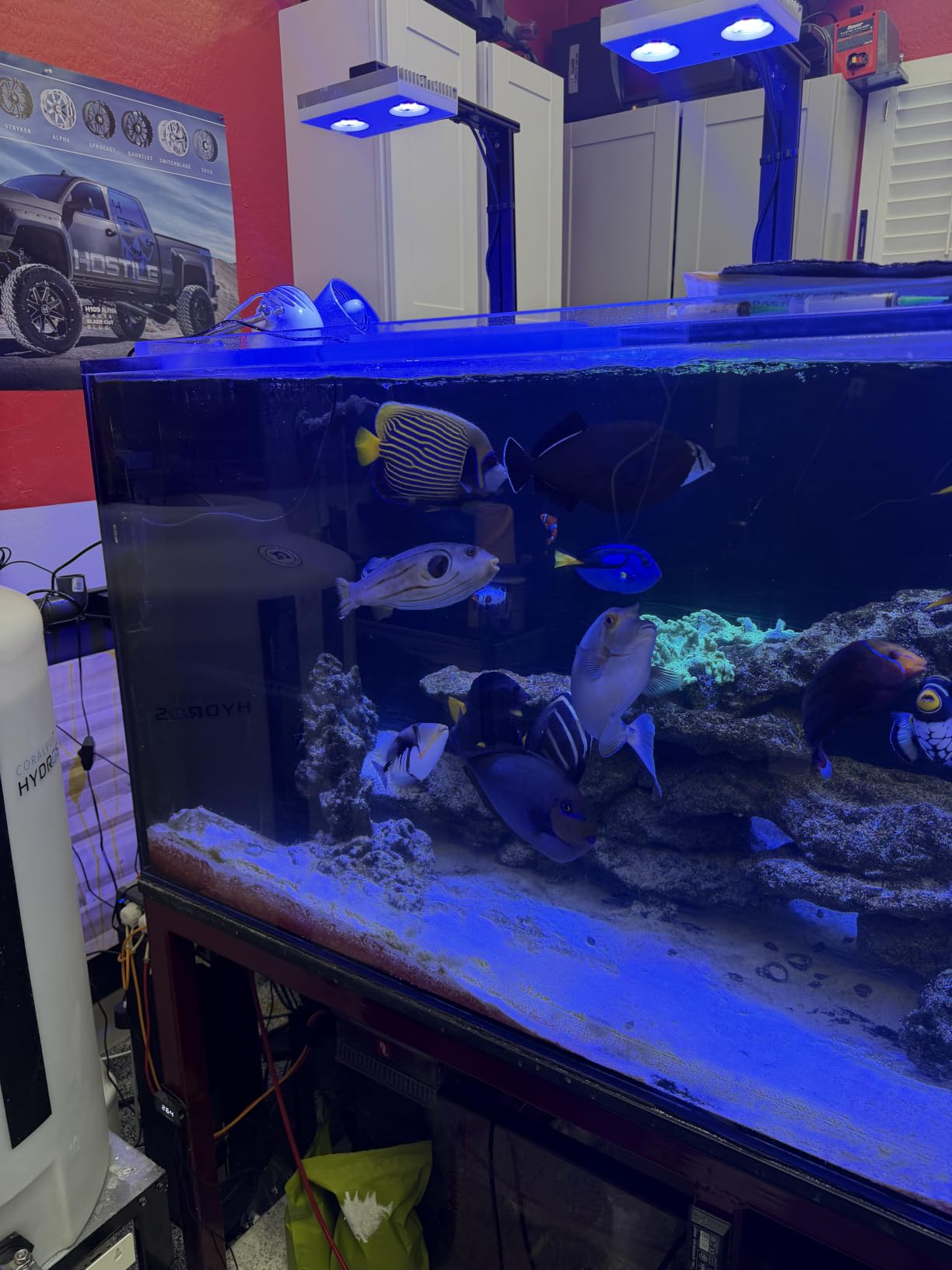 AQUASMITH Gyre Wave maker, Intelligent Tidal Control, 8 models 20w 15000GPH | 100-Level Precision Control Flow, Frequency & Wavelength, 24V Dc Cross Flow Pump for Saltwater/Freshwater Aquarium 30-140 Gal customer photo 2