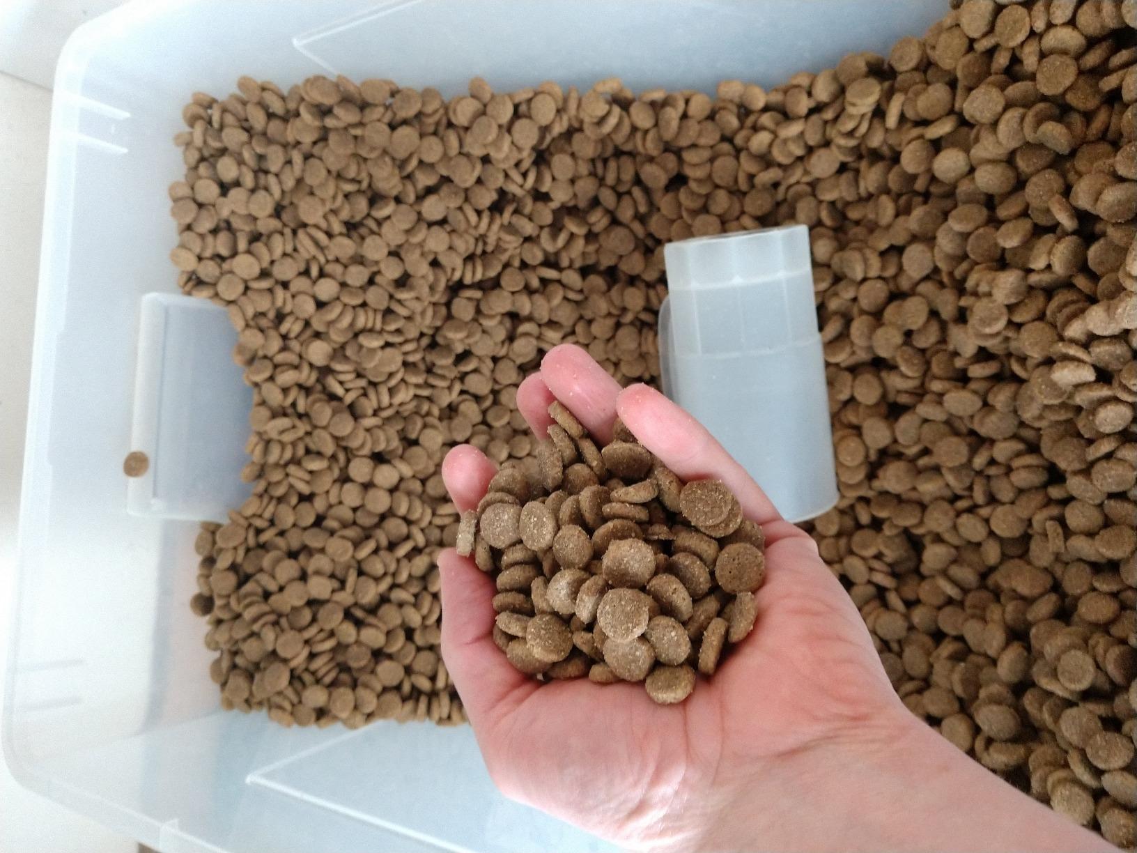 Diamond Naturals Adult Dry Dog Food, Beef Meal & Rice, 40lb customer photo 2