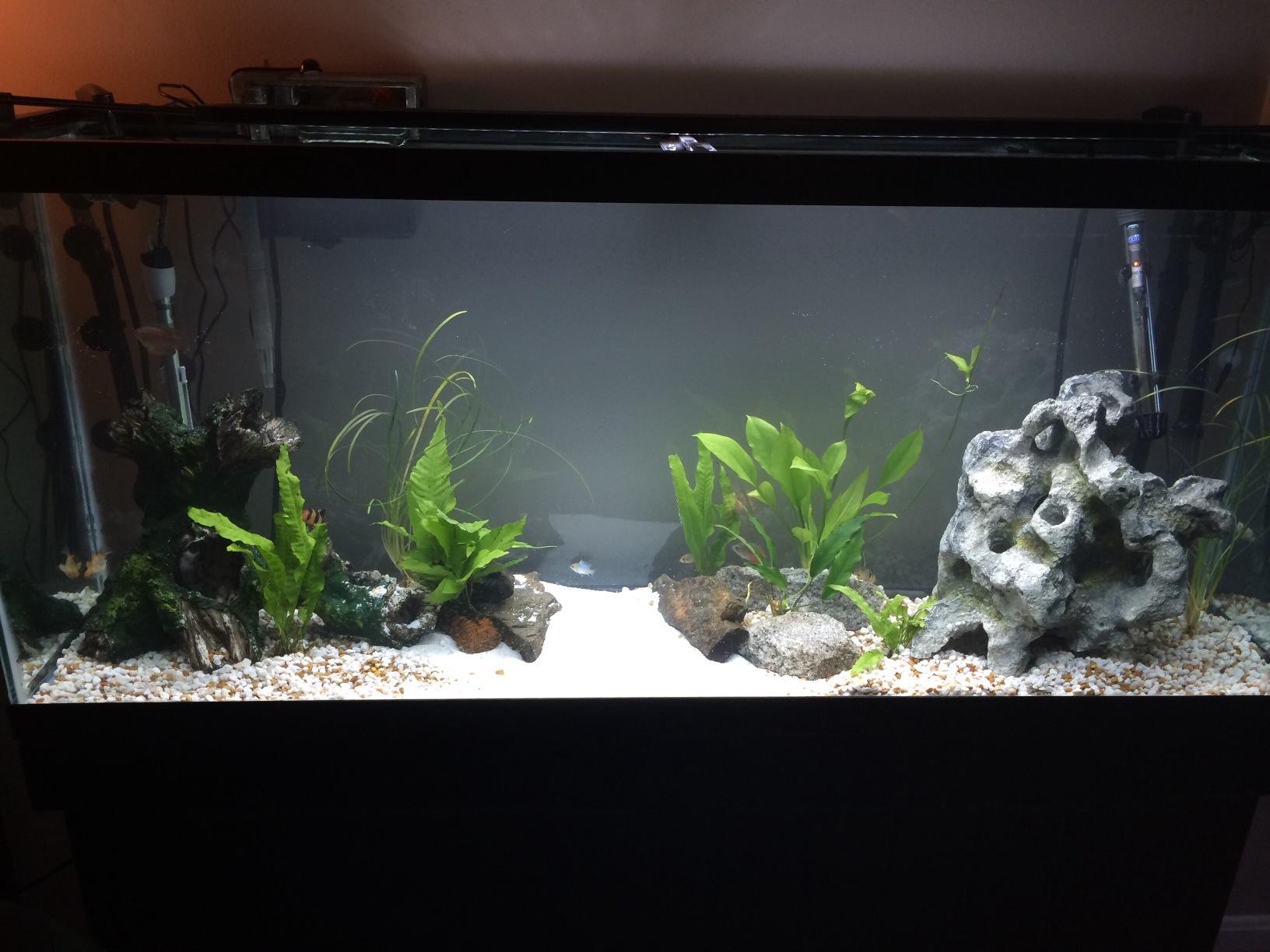 Penn-Plax Cascade 1000 Canister Filter - 265 GPH Aquarium Filter for Tanks Up to 100 Gallons - 360 Degree Flow Valves, Poly Fiber Pads, Bio-Sponge & Activated Carbon -Fresh & Saltwater -11.5x10x17in customer photo 2