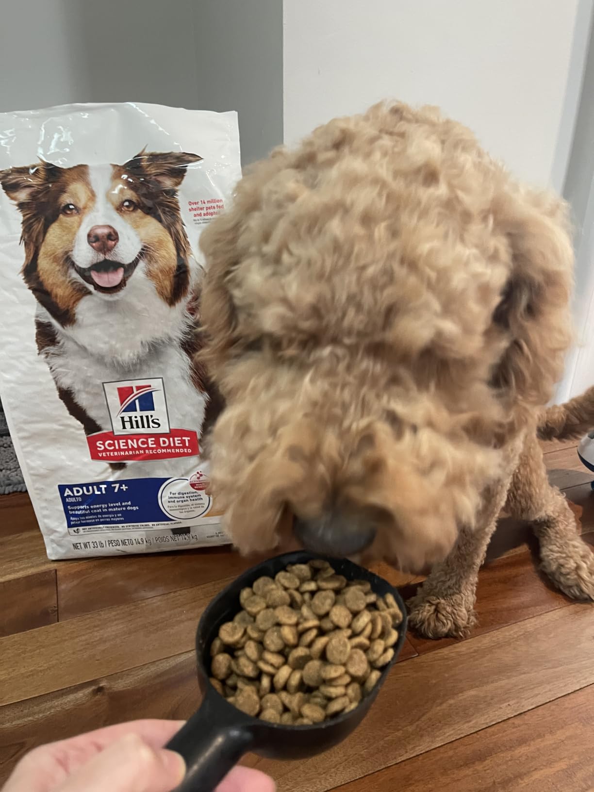 Hill's Science Diet Adult 7+ Dry Dog Food customer photo 2