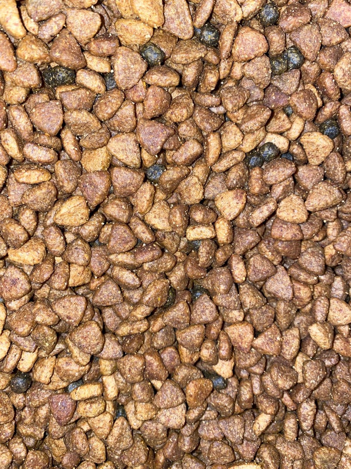 Blue Buffalo Life Protection Formula Chicken Large Puppy Dog Food, 30 lb customer photo 2