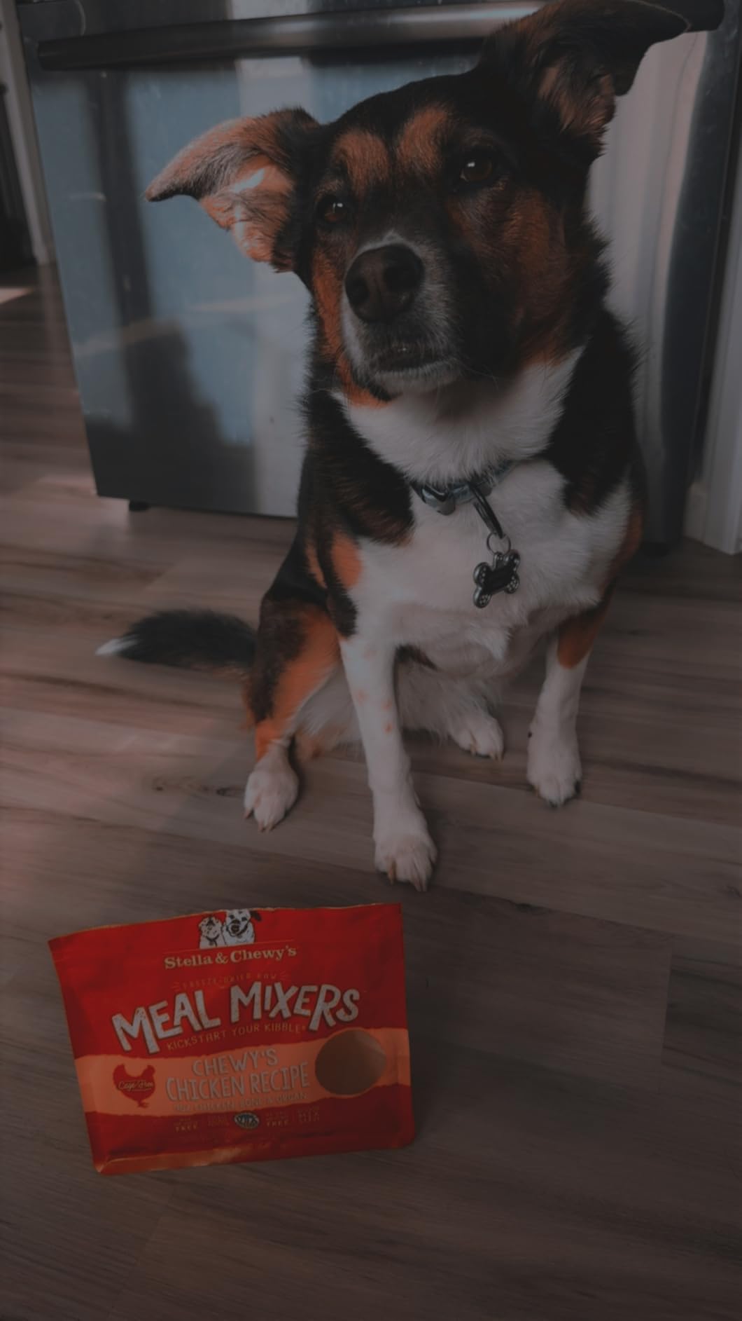 Stella & Chewy's Freeze-Dried Raw Chicken Meal Mixers- Dog Food Topper and Mixer - Made with 95% Cage-Free Chicken, Organs & Bone - Perfect for Picky Eaters - Grain-Free - 3.5oz customer photo 2