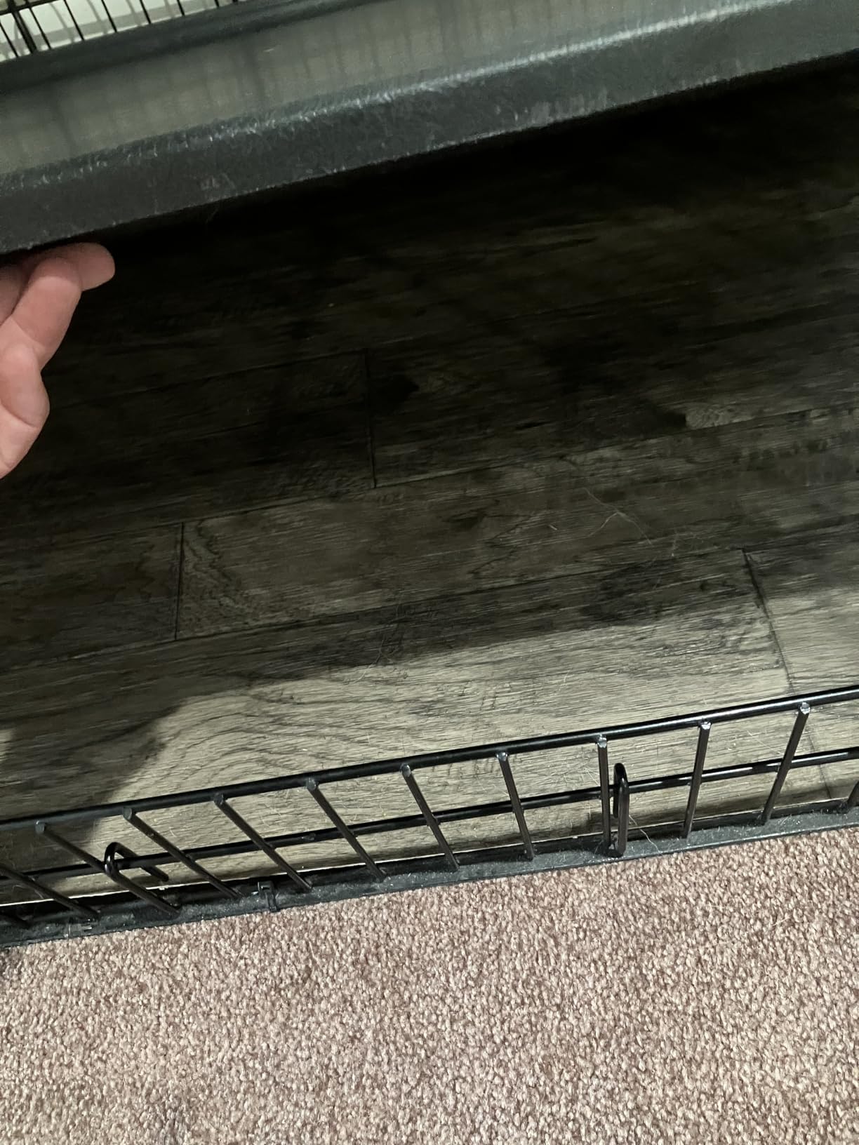 Midwest 36-Inch Double Door iCrate, for Medium-Large Breeds, 41-70 lbs customer photo 1