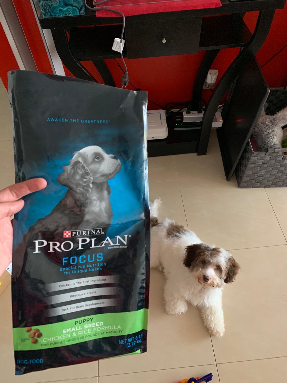 Purina Pro Plan Small Breed Puppy Food, Chicken & Rice, 6 lb Bag customer photo 1