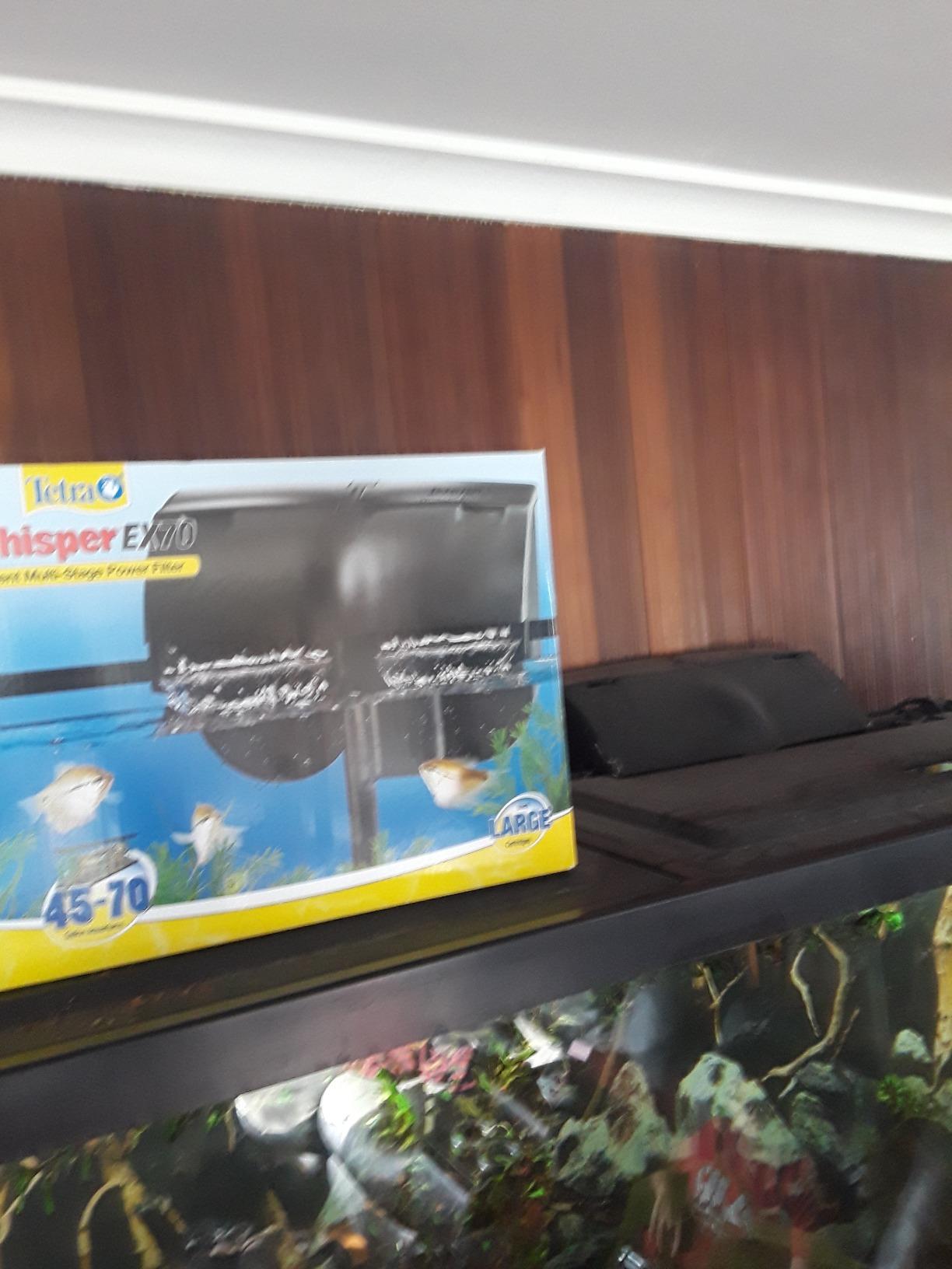 Tetra Whisper EX 70 Filter For 45 To 70 Gallon aquariums, Silent Multi-Stage Filtration customer photo 1