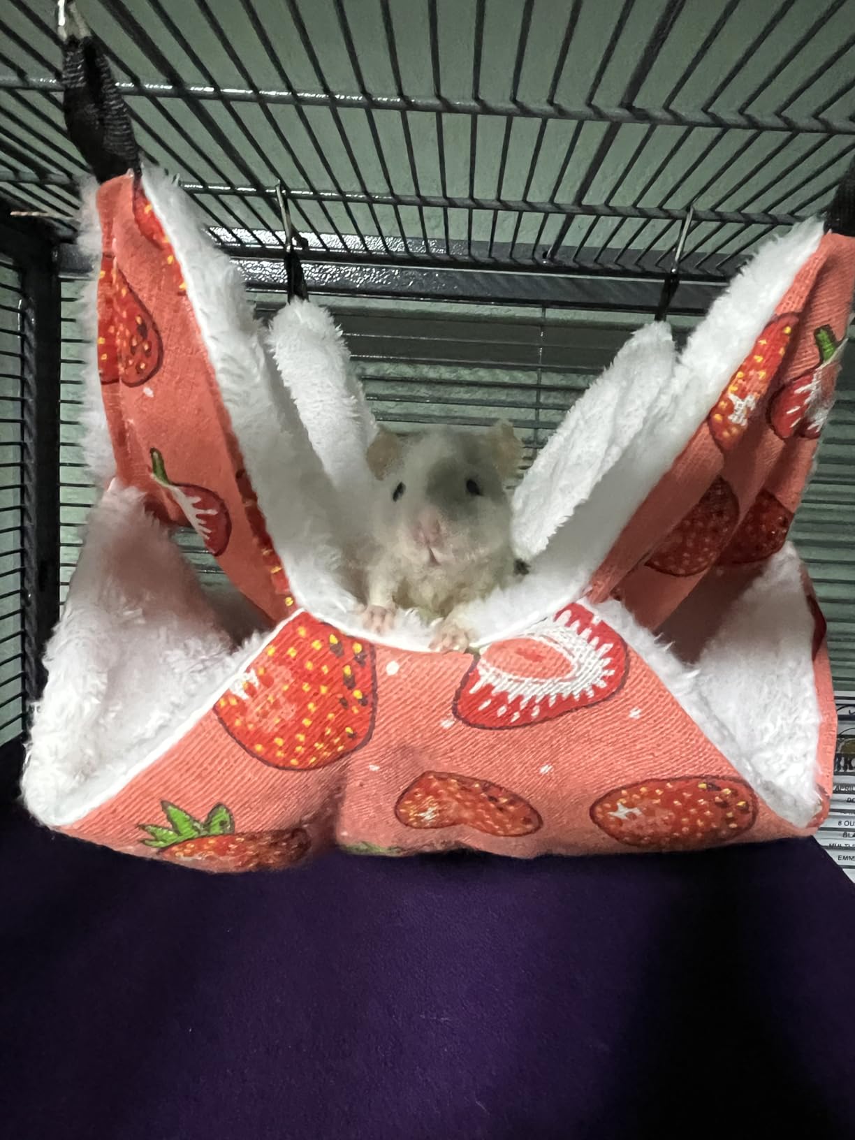 Critter Nation by MidWest Double Unit Small Animal Cage customer photo 1