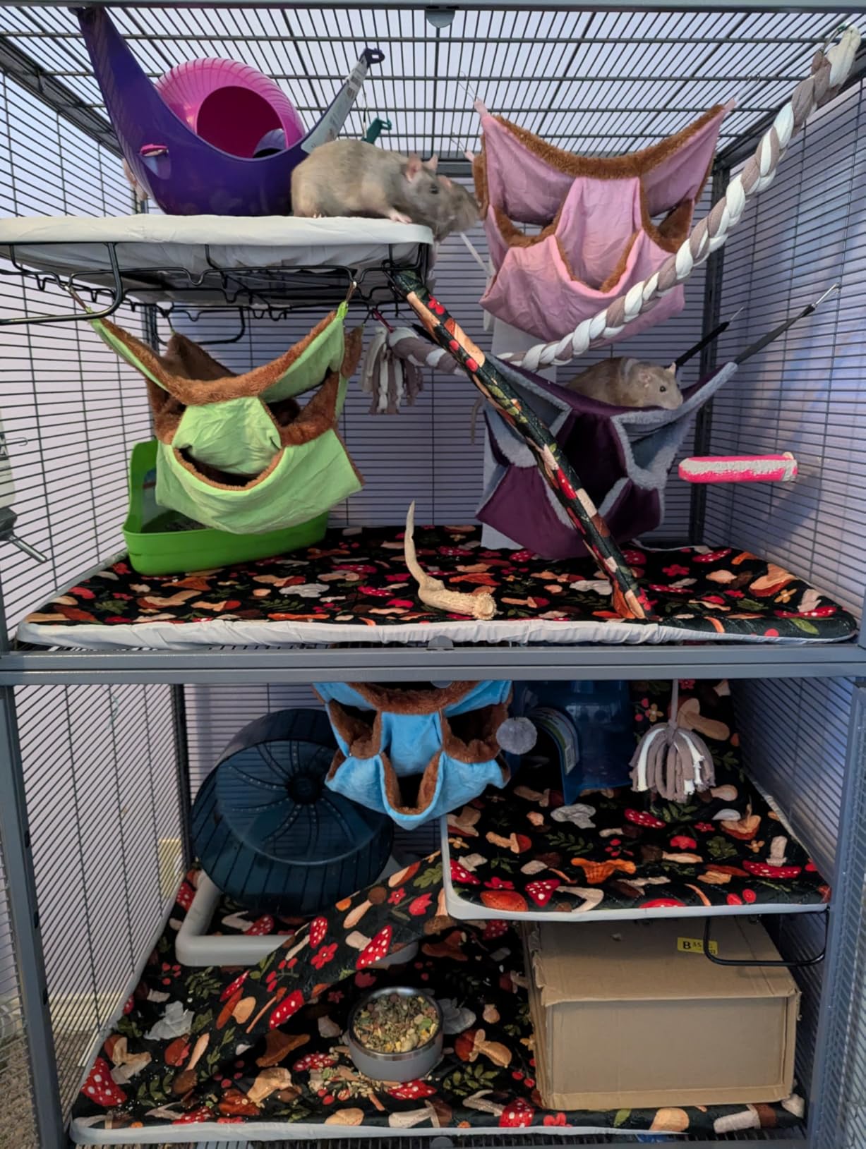Critter Nation by MidWest Double Unit Small Animal Cage customer photo 2