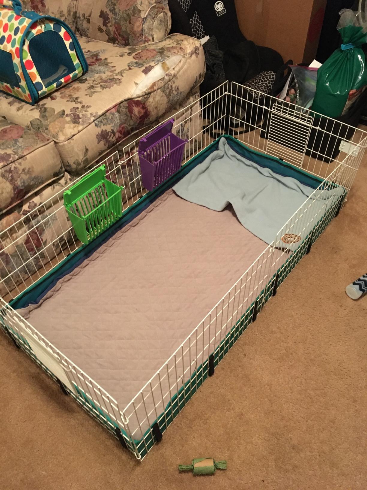 MidWest Homes for Pets Guinea Habitat Cage, Washable PVC Canvas Bottom, Secure Sides, Tool-Free Setup, Expandable Small Animal Cage for Guinea Pigs, 171GH customer photo 1
