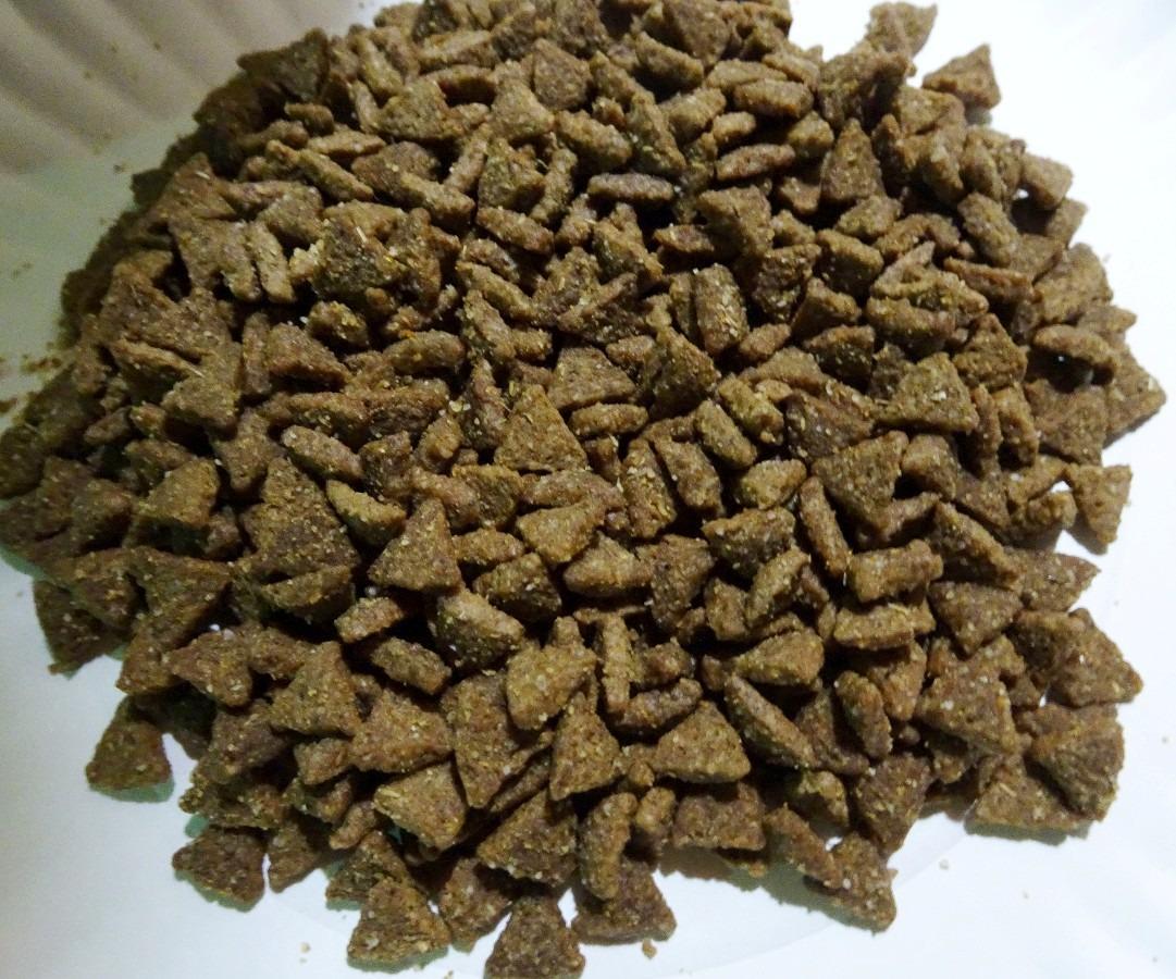 Wellness Complete Health Small Breed Adult Dry Dog Food, Wholesome Grain Kibble, Natural, Turkey and Oatmeal Recipe, 4 lb Bag customer photo 1