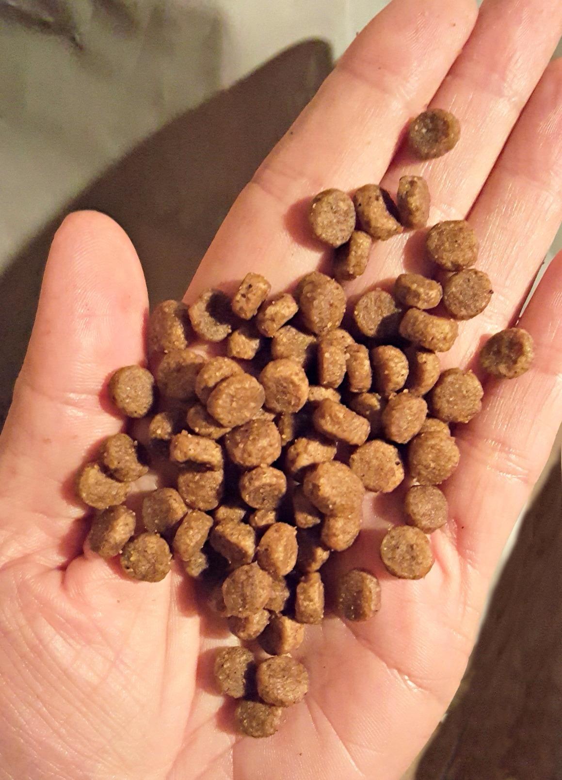 Hill's Science Diet Adult 1-6 Small & Mini Dry Dog Food customer photo 2