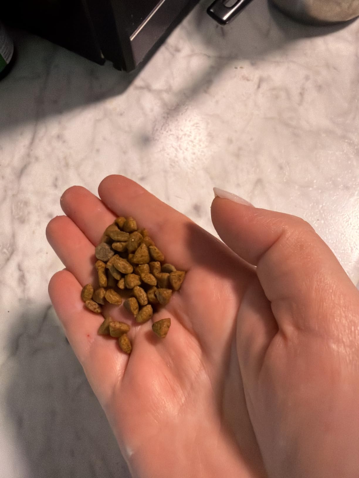 ROYAL CANIN X-Small Puppy Dry Dog Food, 3 lb Bag customer photo 2